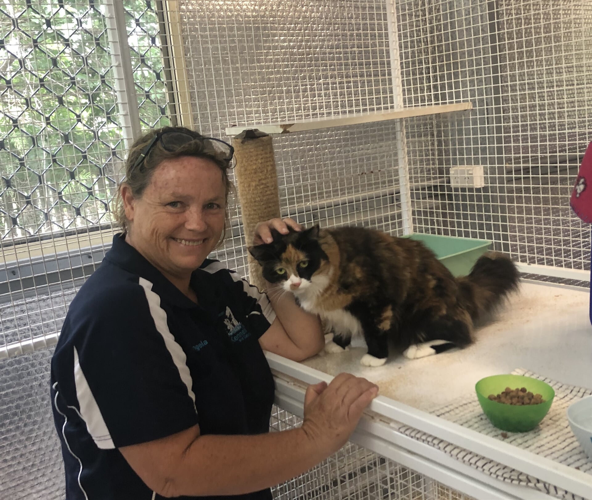 Catteries in Yeppoon Yeppoon Boarding Kennels & Cattery