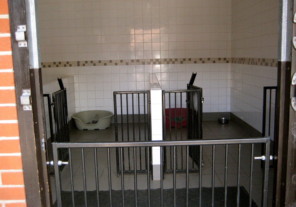 Kennels & Doggy Day Care, Essex Beeches Farm Kennels