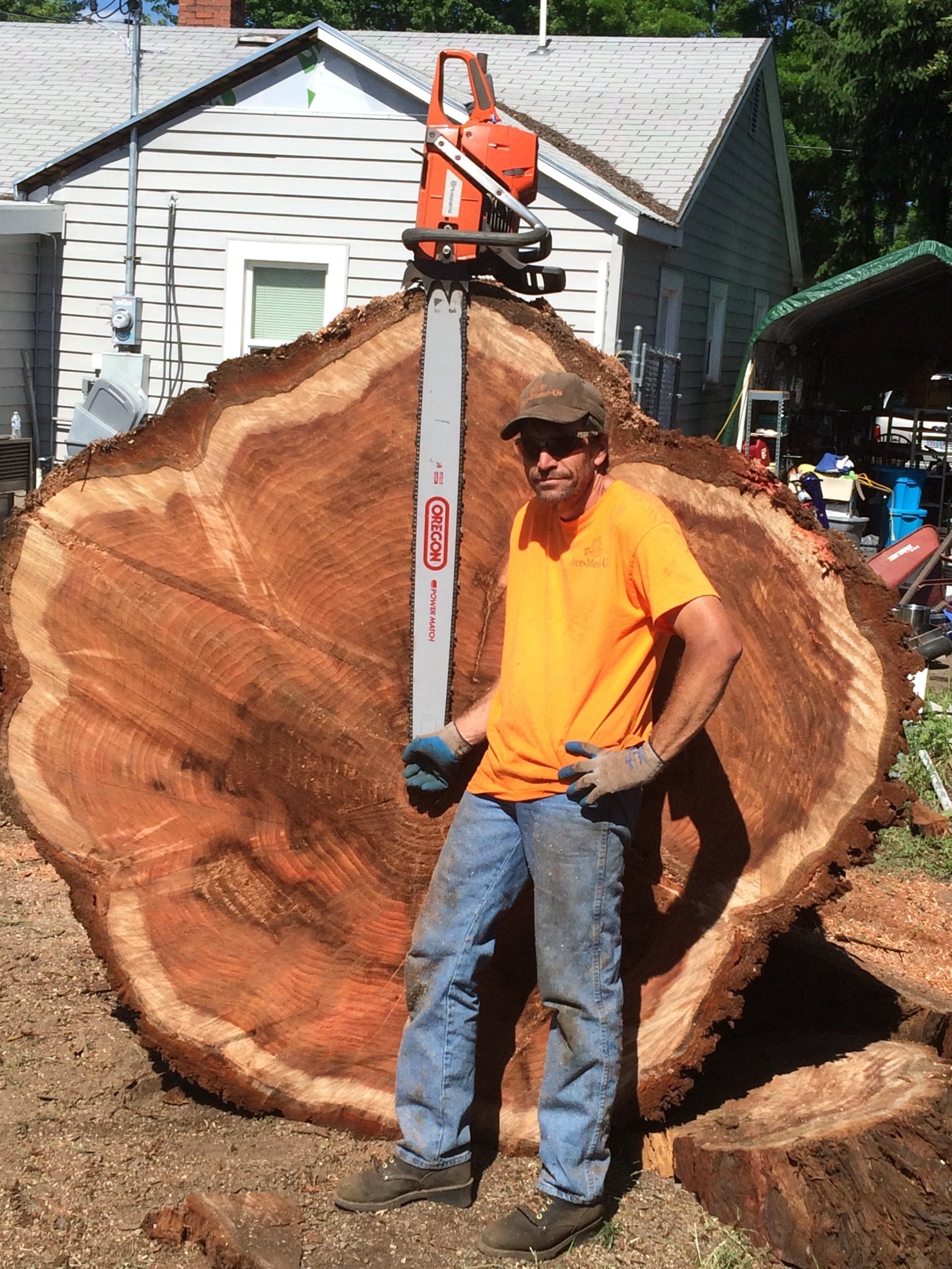 Trees Medford, OR TreeMendUs