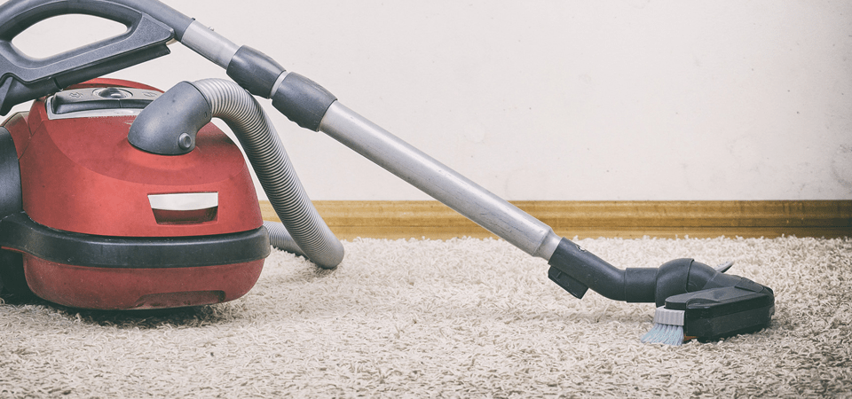morrison carpet cleaner hire Floor Matttroy