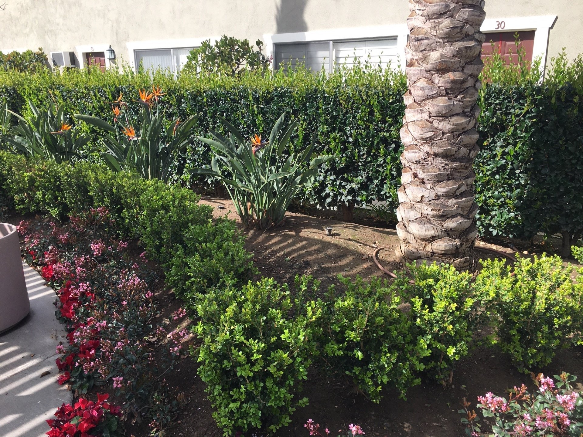 Americana Apartments