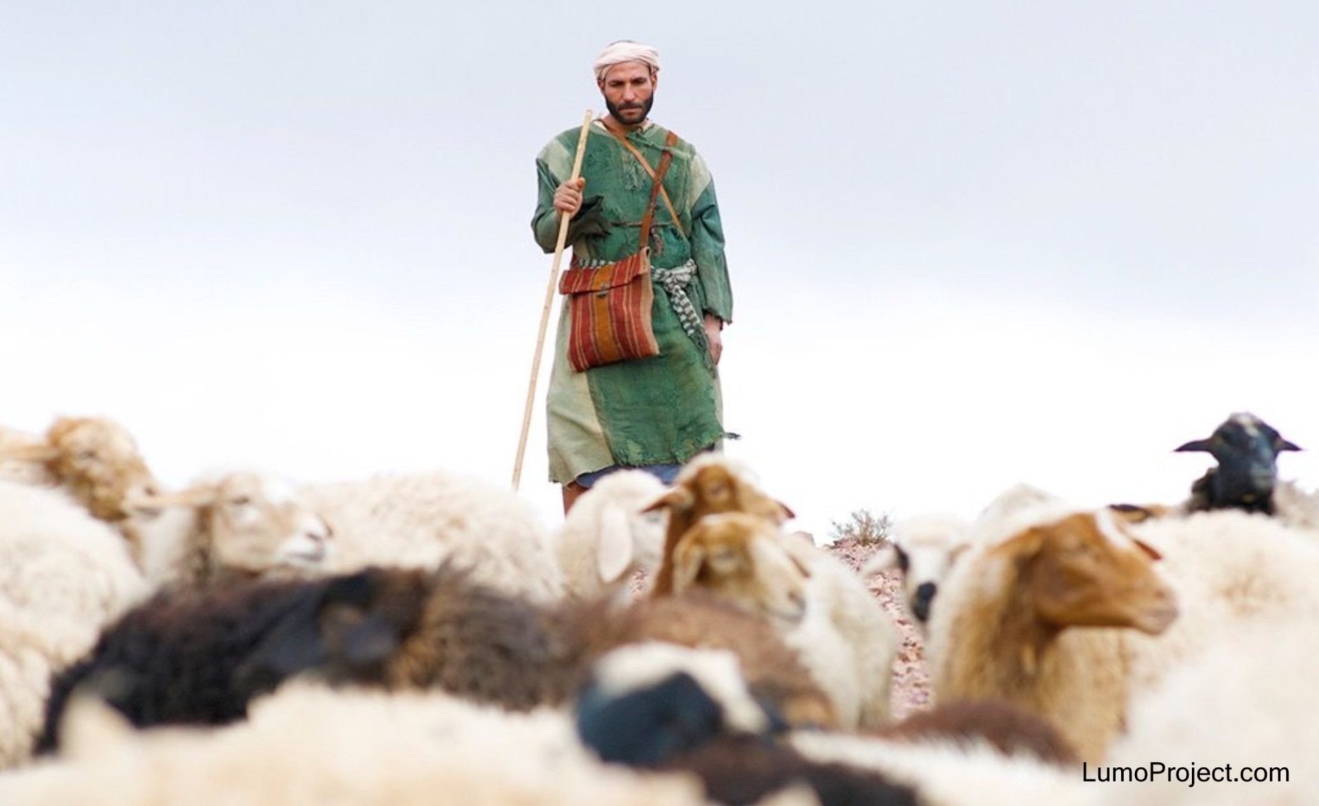 Case Study Jesus as Shepherd Leader