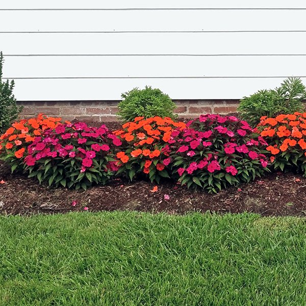 Custom Lawn Care Missoula, Montana Starwalker Farms