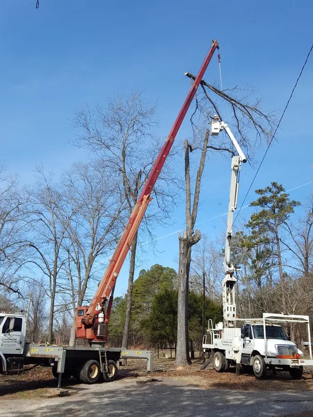 Power Line Clearing Utility Services Central AR