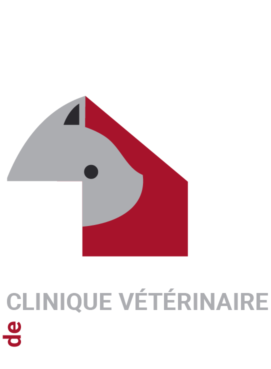 Mentions legales Clinique vétérinaire de VilleboisLavalette