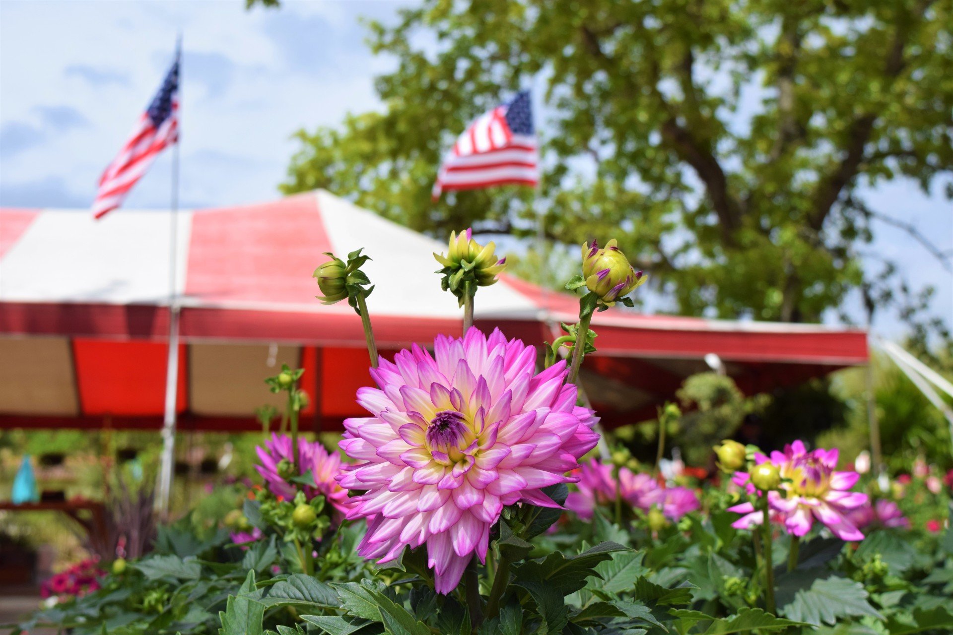 Holiday’s Nursery & Landscaping Jacksonville, FL Nursery