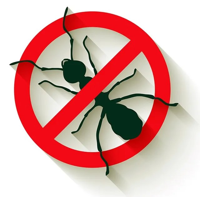 Exterminator, Ant Control, & Termite Control Huntersville, NC