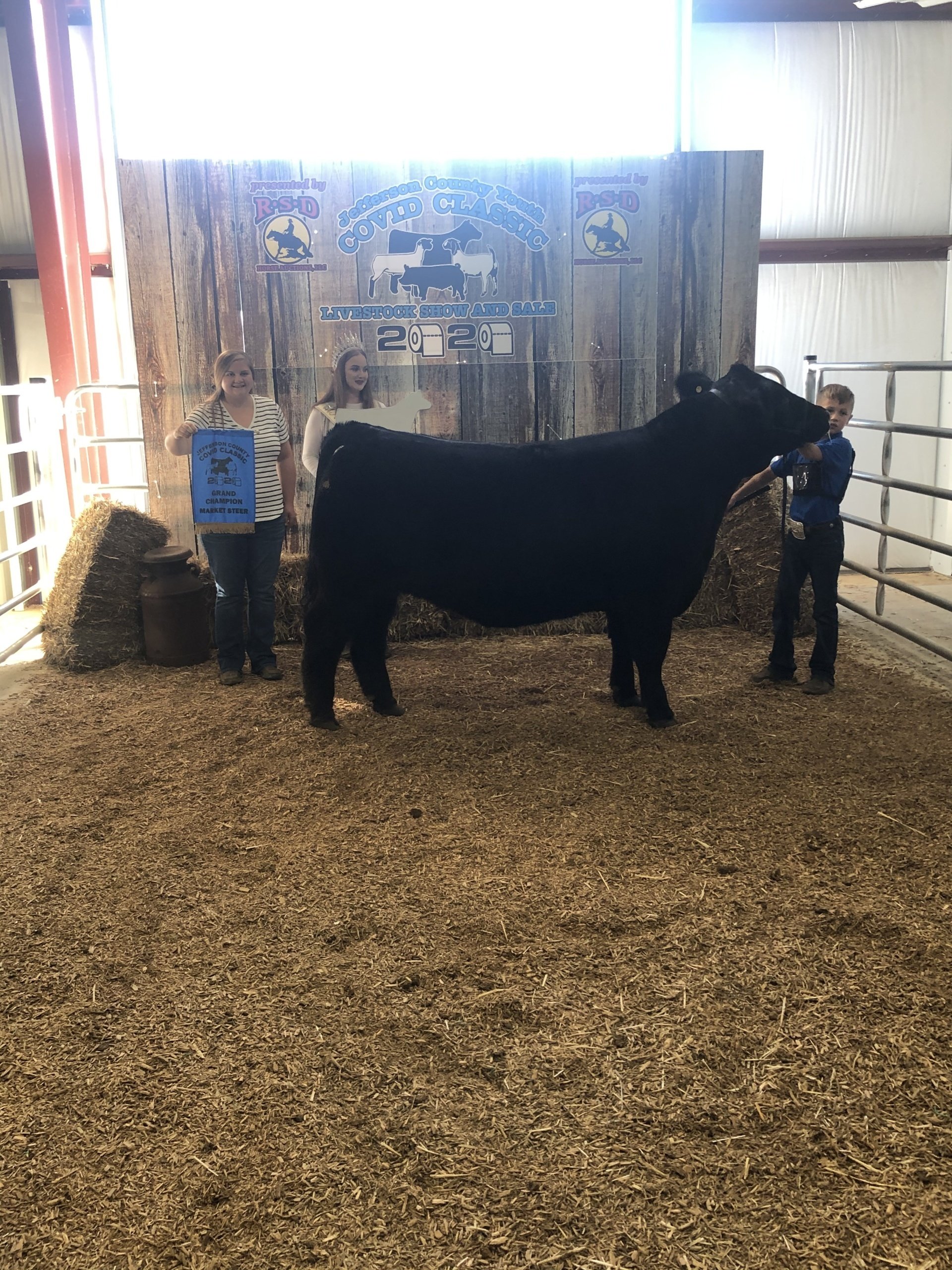 Show Steers, Show Heifers Shane Show Cattle, OH