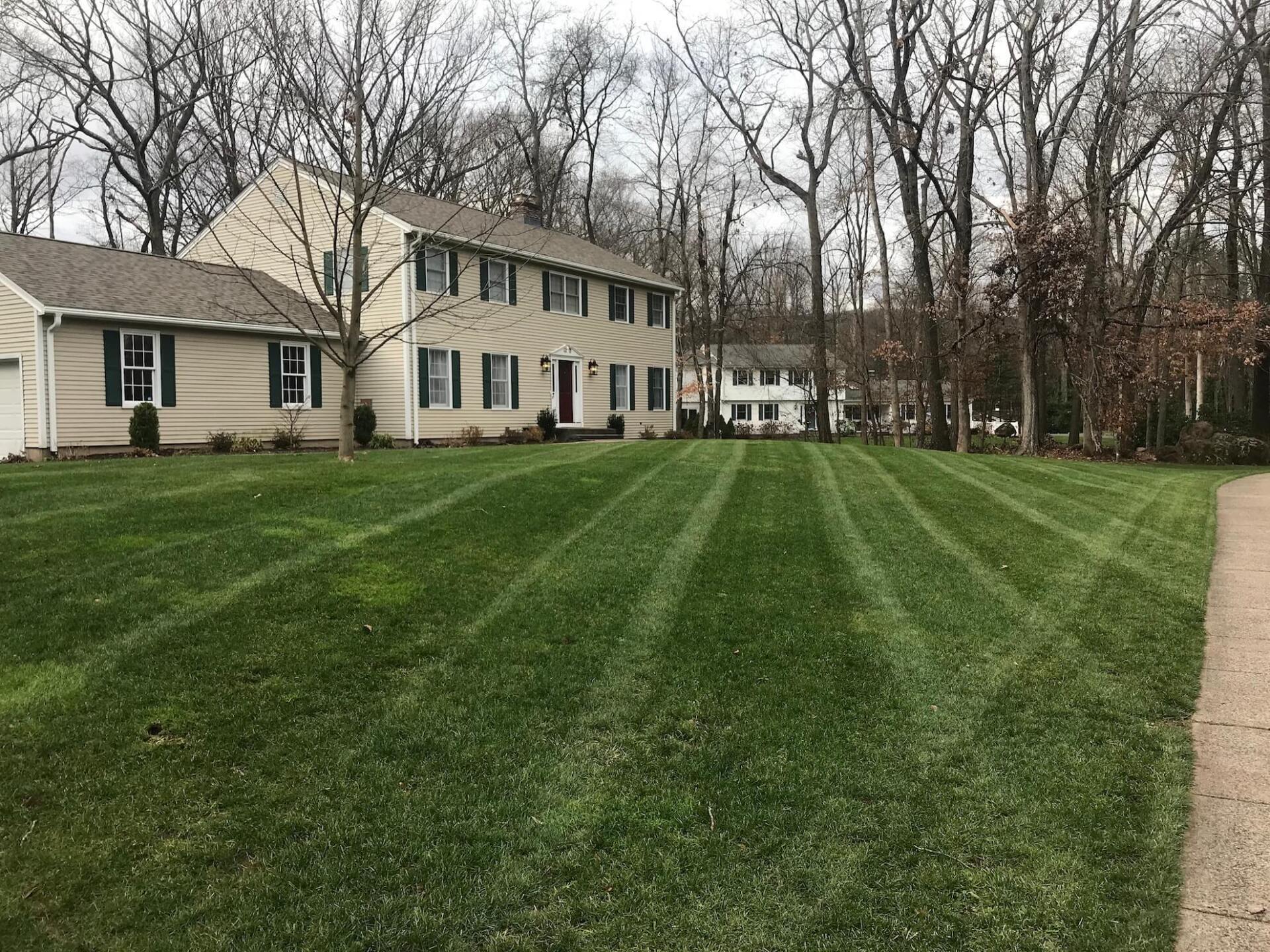 Lawn Care & Landscapes in Waterbury CT Gallery, Yard