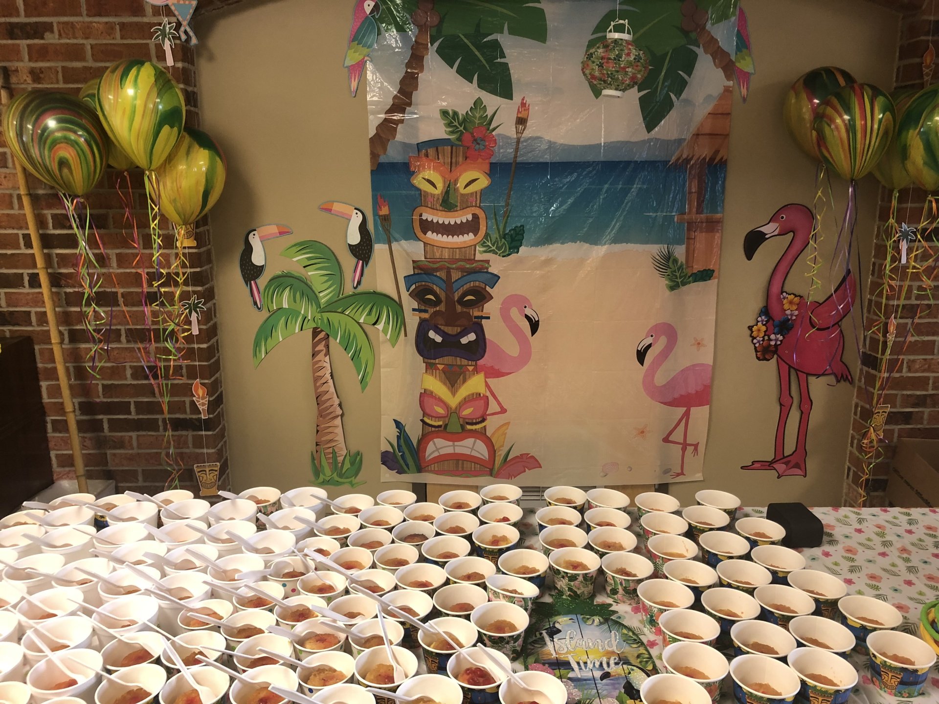 Luau Party June 14, 2018 at J. M. Morrow Nursing Home, Arnaudville