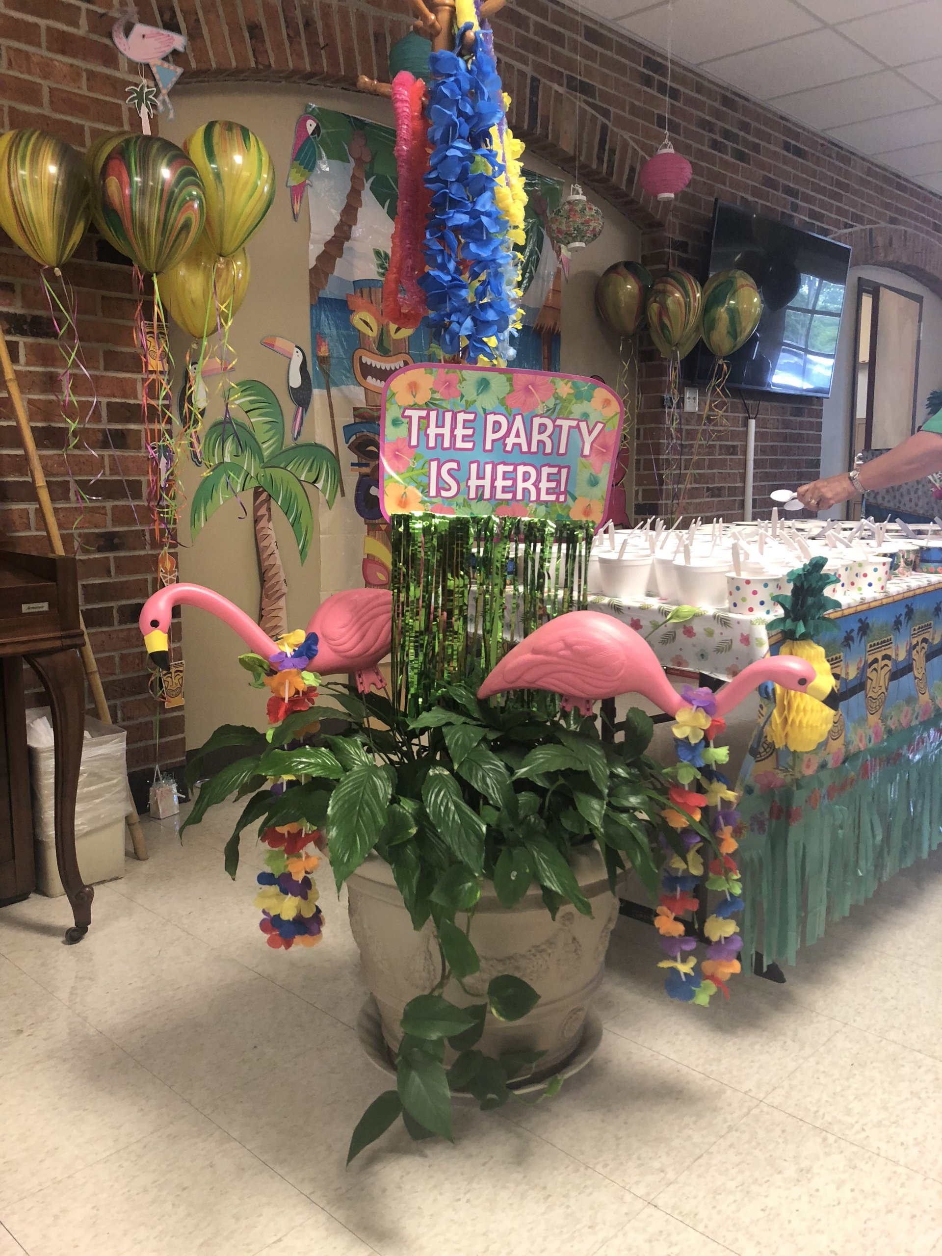 Luau Party June 14, 2018 at J. M. Morrow Nursing Home, Arnaudville