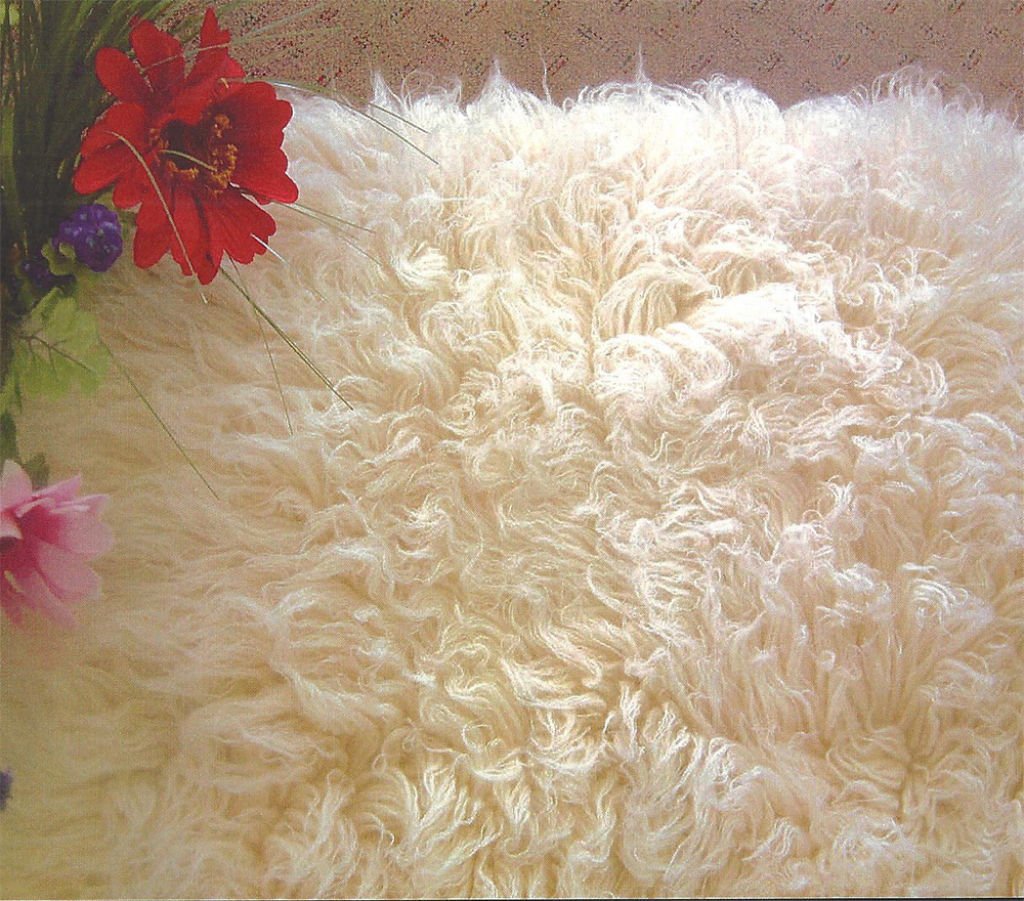 Runners Adelaide Rugs4Less