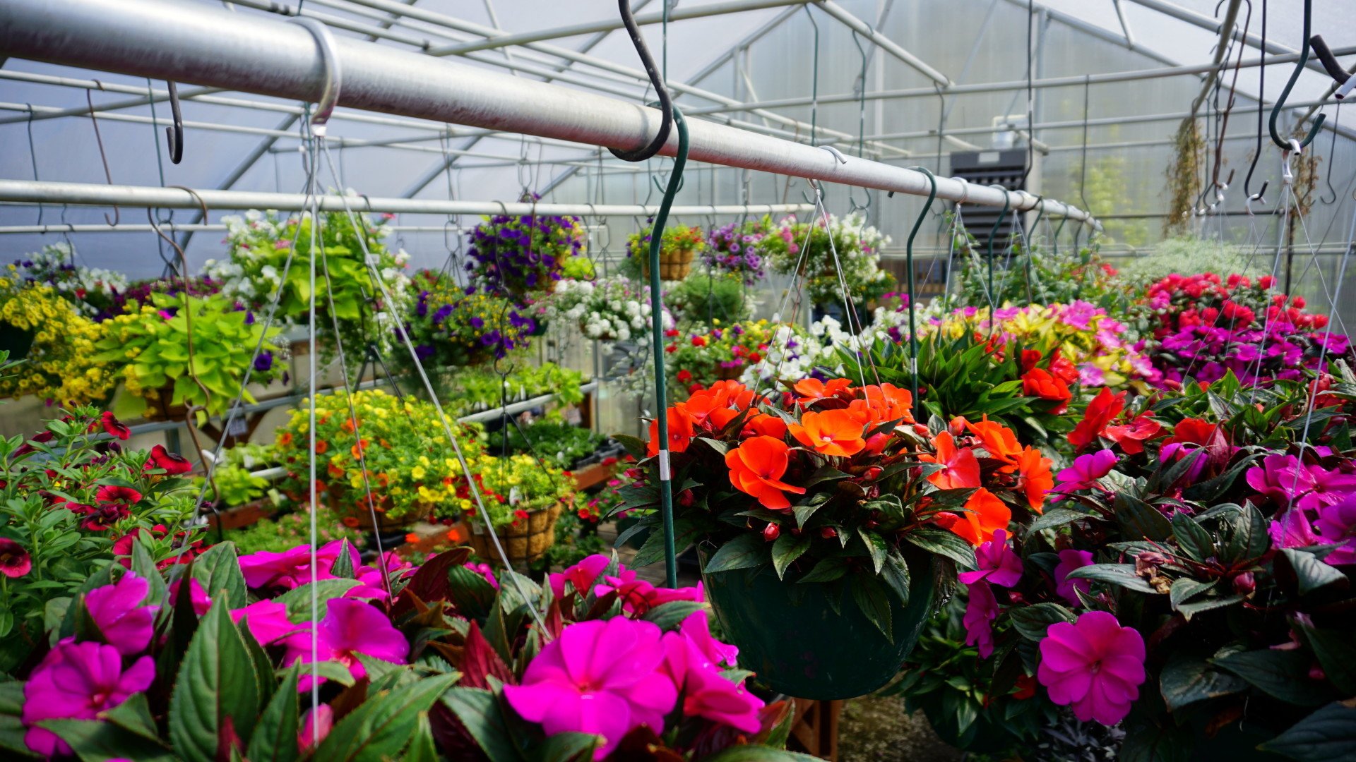 Spokane WA Smart Gardens Nursery Greenhouse