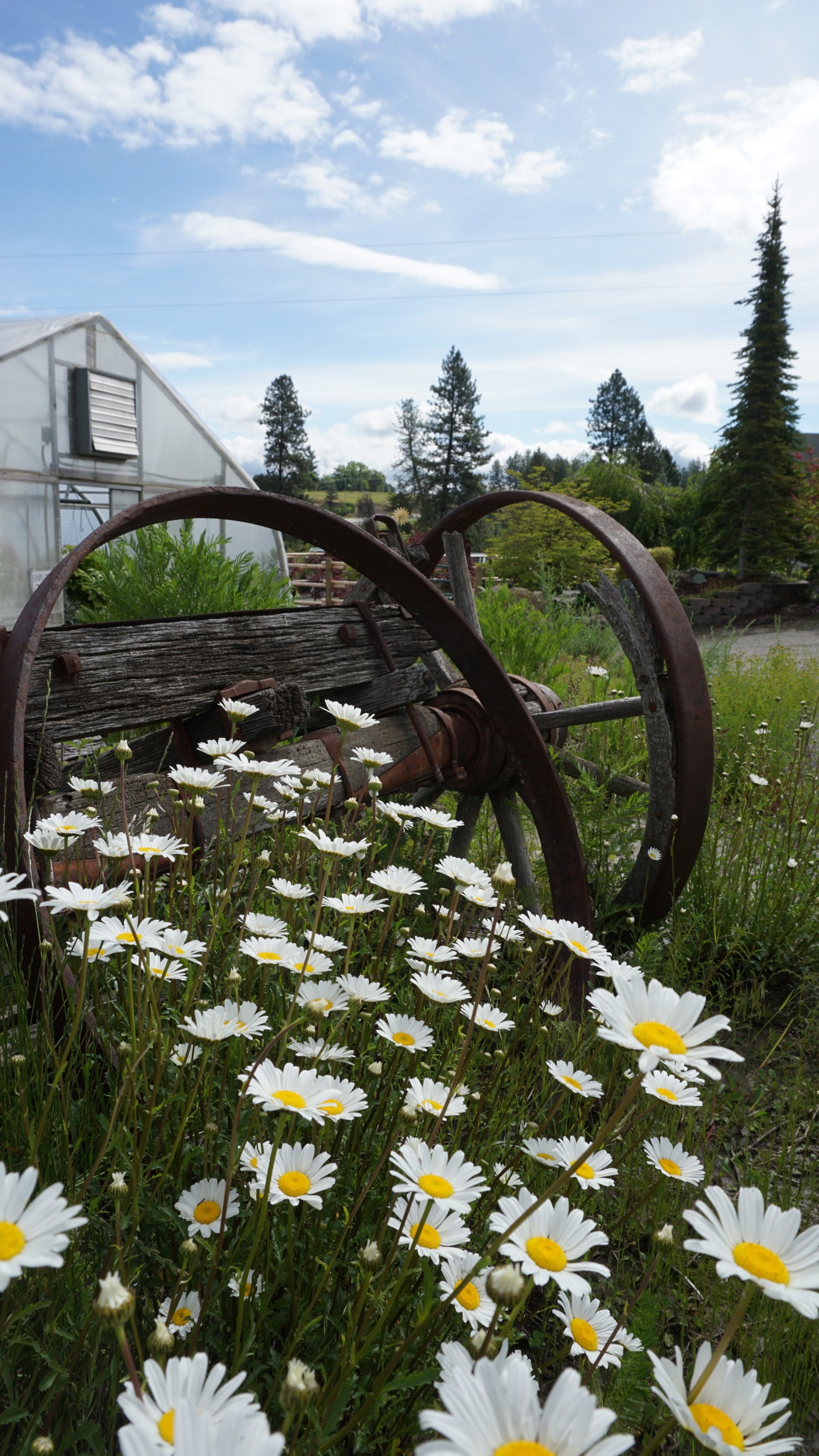 Spokane WA Smart Gardens Nursery Greenhouse