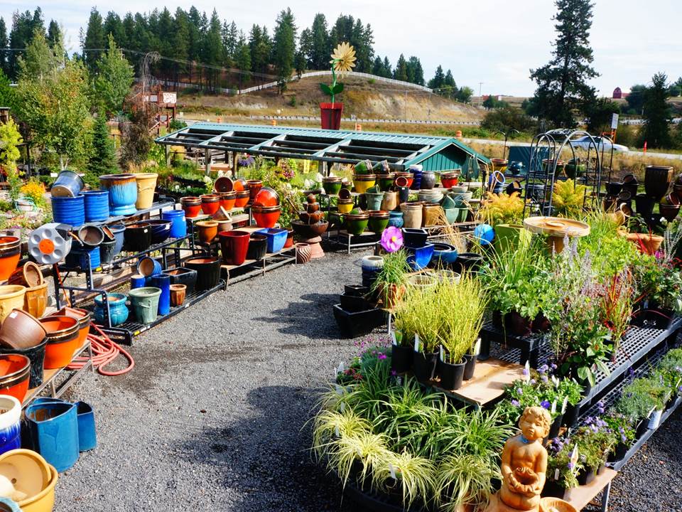 Nursery Gallery Smart Gardens Nursery Spokane