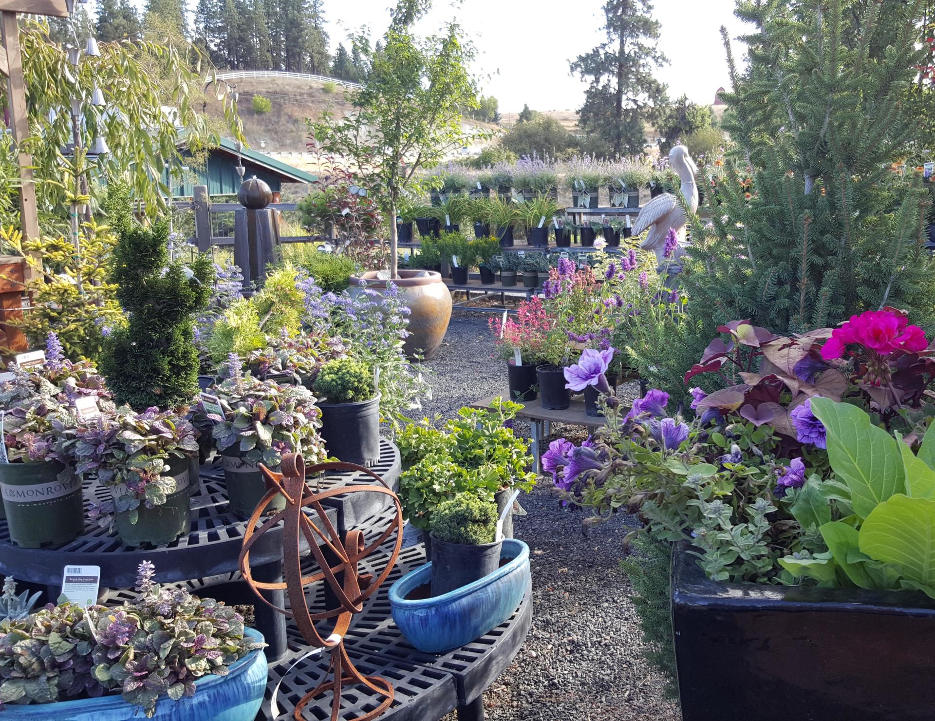 Nursery Gallery Smart Gardens Nursery Spokane
