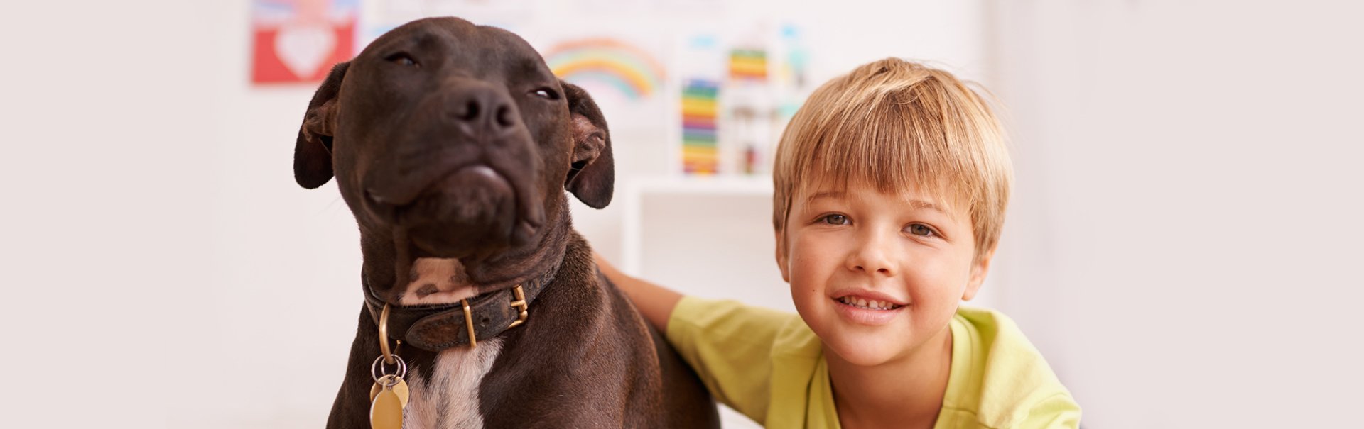 Doggy Shedding Season