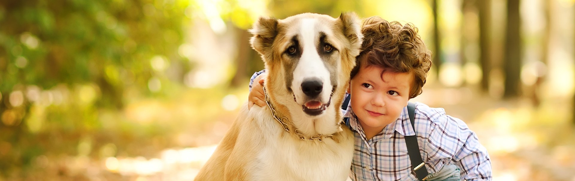 People Foods That Fido Can Enjoy