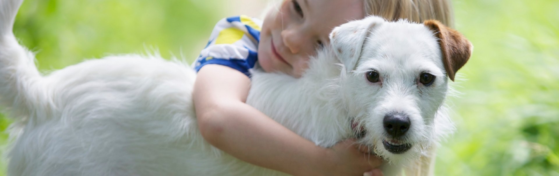 Caring for Your Dog’s Paws