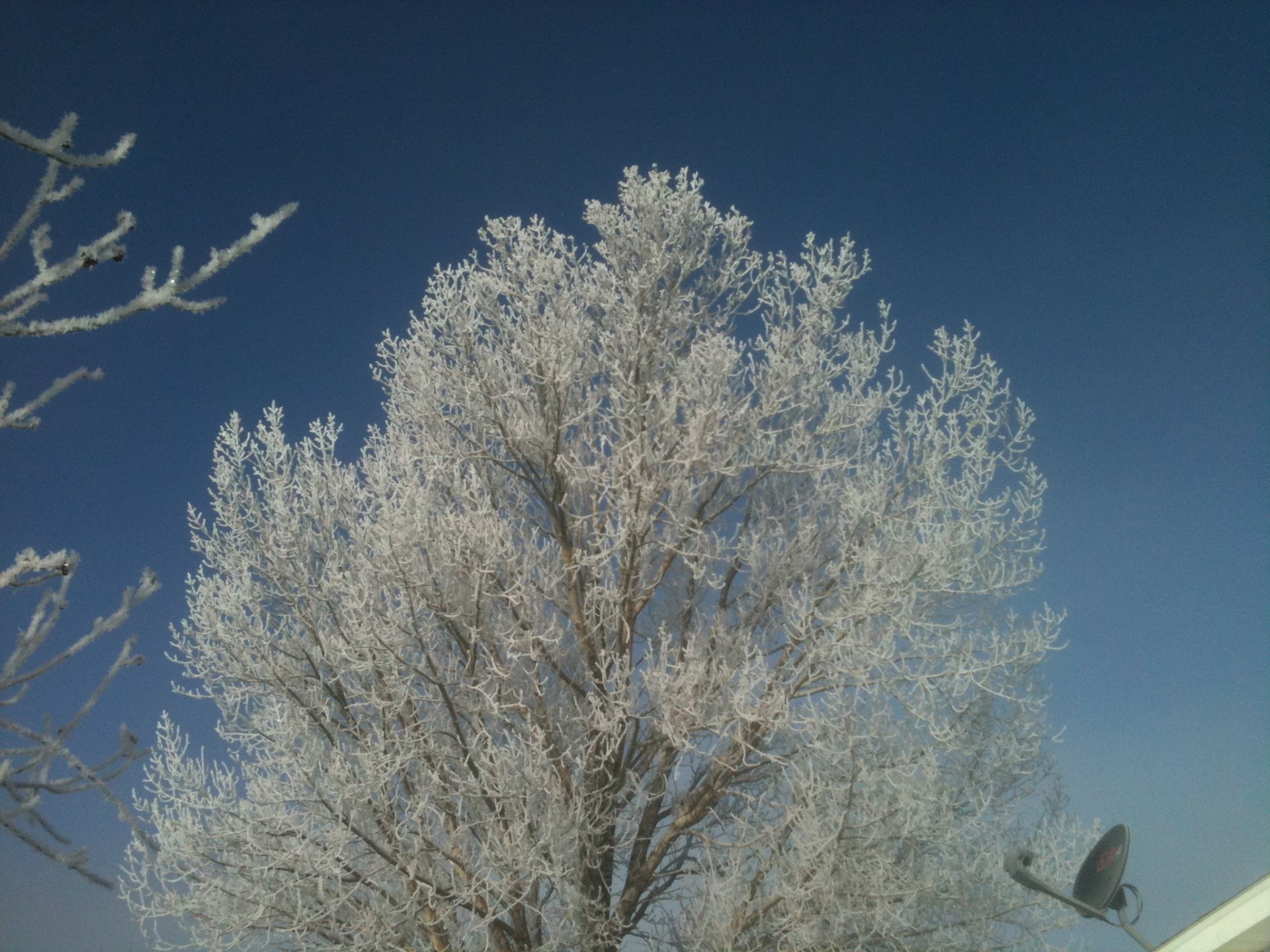 Medicine Bow Local Information