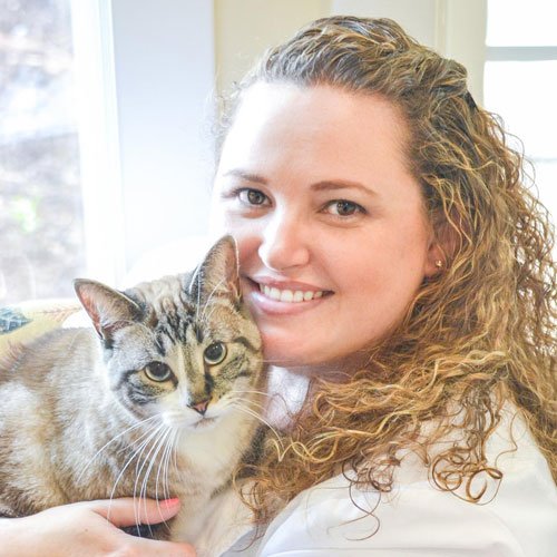 Pet Boarding Wilmington, NC Pet Hotel The Diggs at Paws & Claws