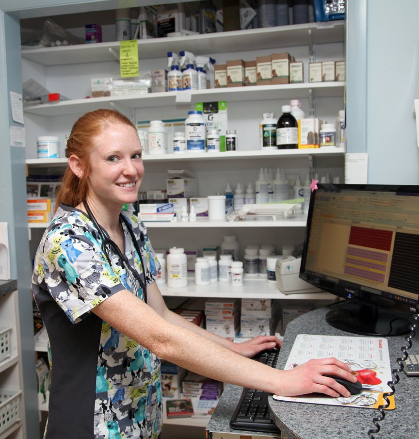 Animal Doctor Allentown, PA Veterinary Medical Facility