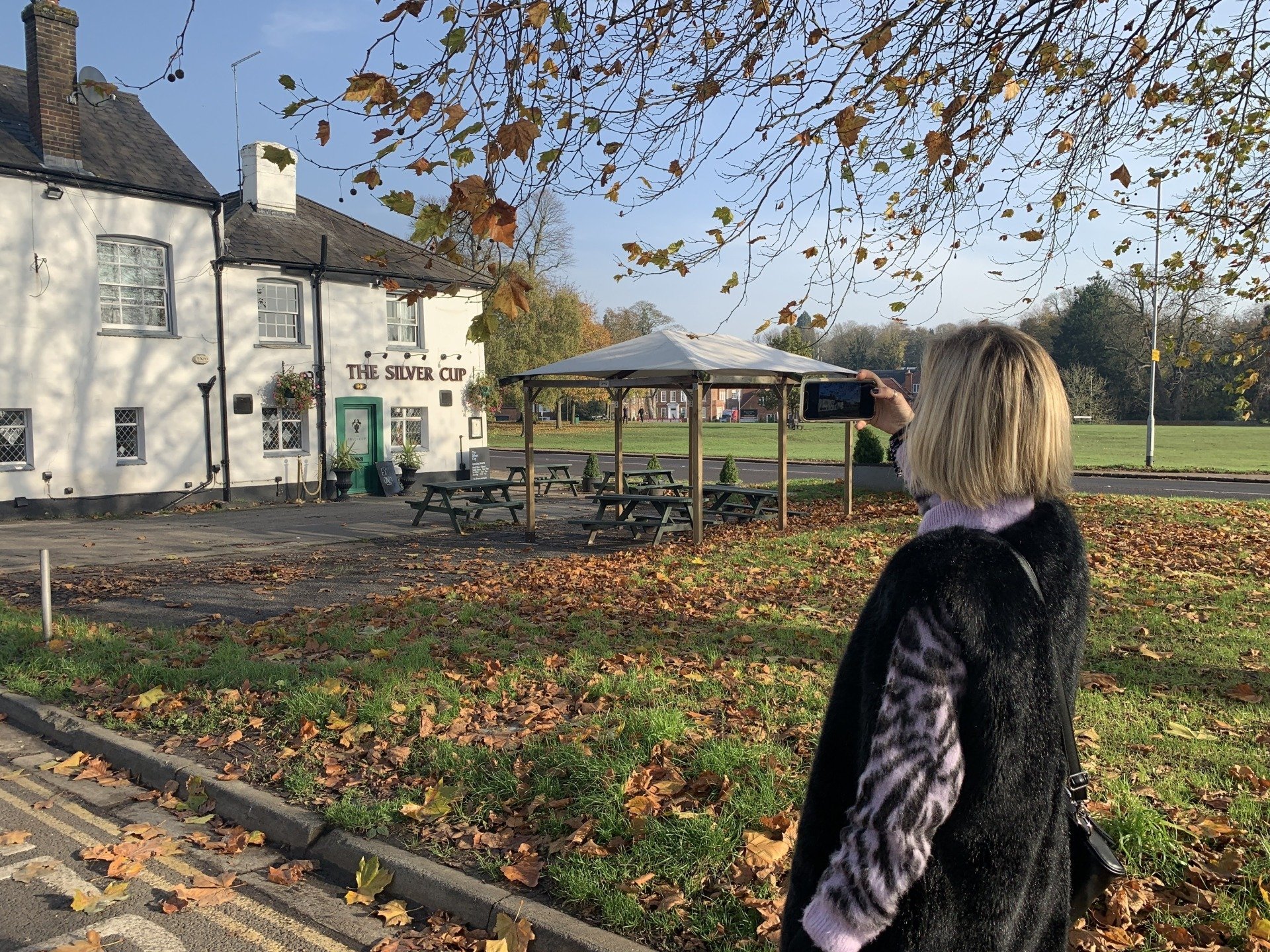 Capturing Images of Harpenden