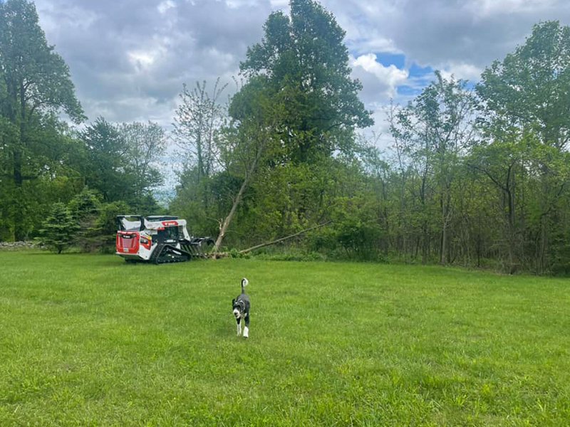 Bobcat And Excavator Services Winchester, VA Iron Bull Hauling