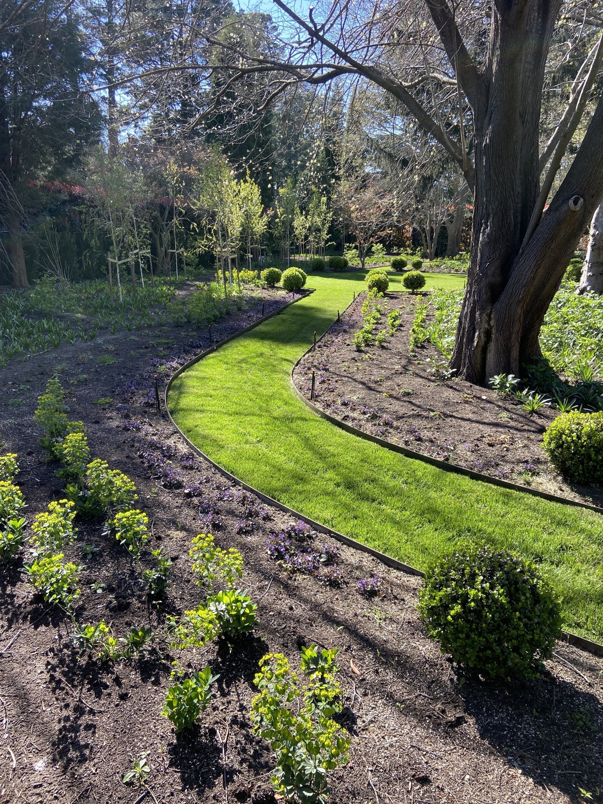 Soft and Hard Residential Landscaping Designs Bowral