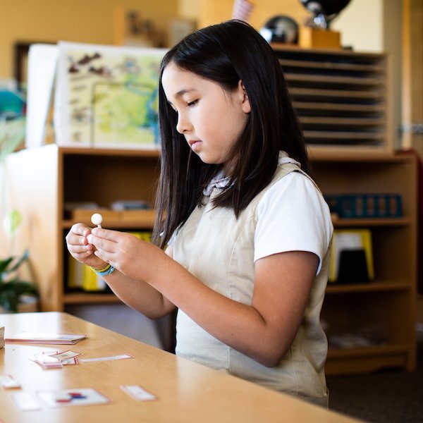 Providence Montessori School Lexington, Kentucky