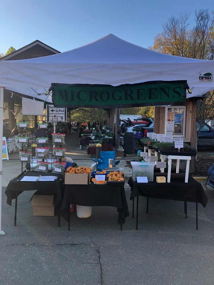 Sweet Retreat Orchard PickYourOwn Farm Hillsborough NC