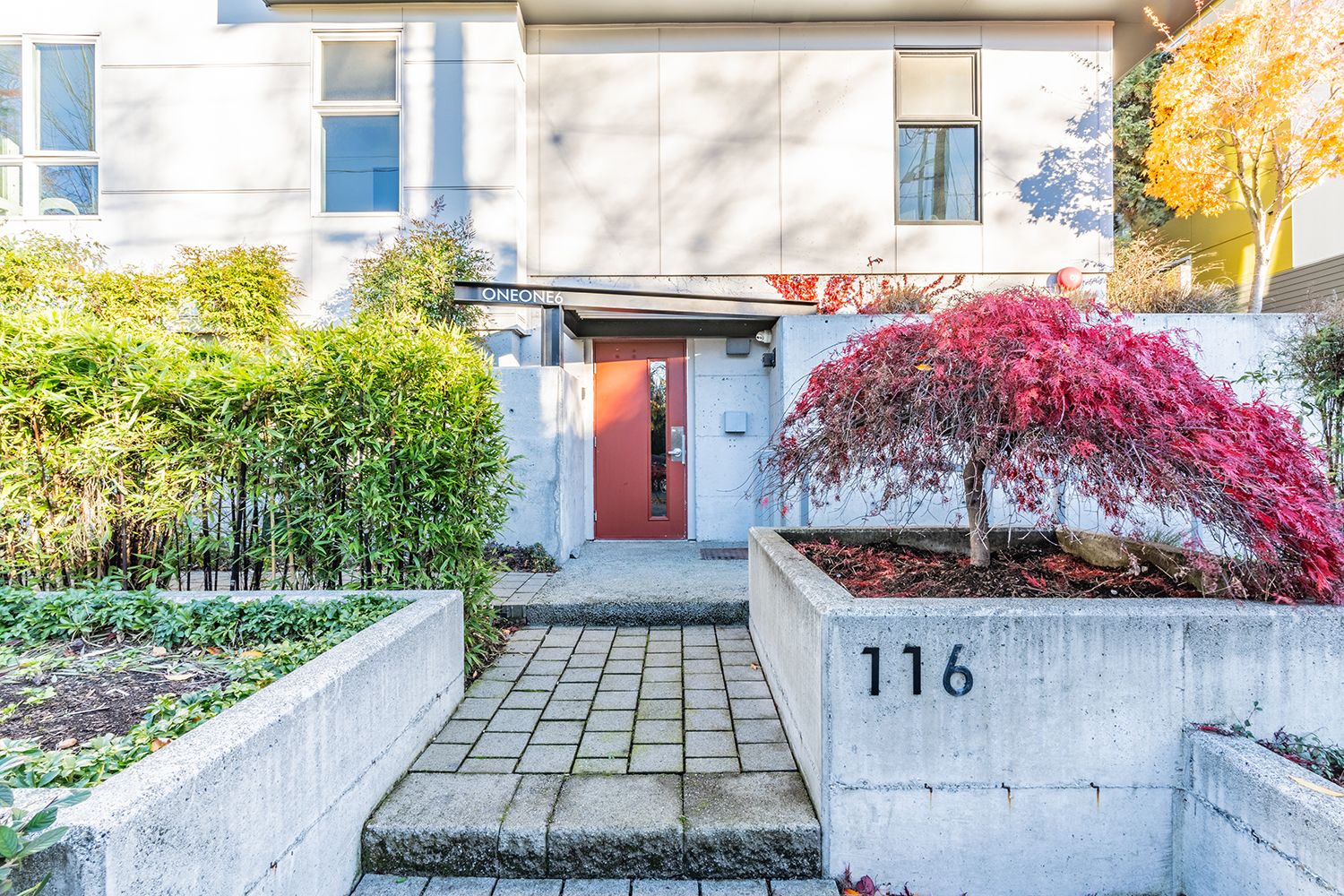 Capitol Hill Properties Arboreal Seattle