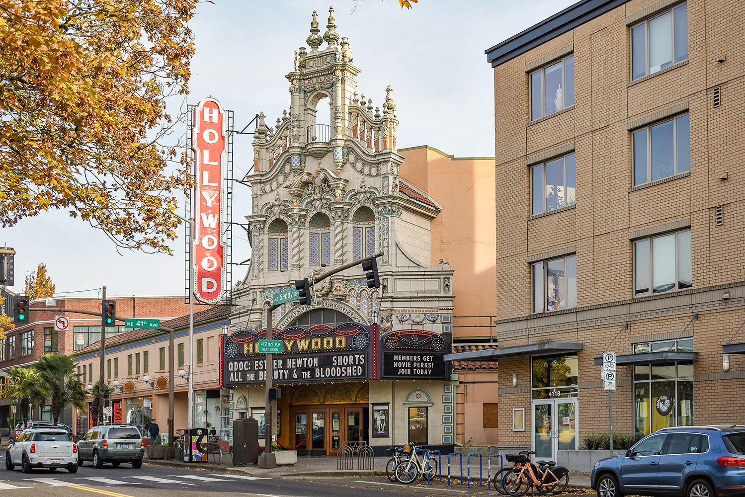 Portland property Arboreal Management WA