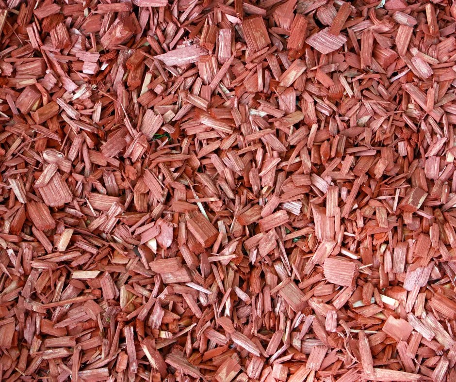 5 Safe Mulch Options For Playgrounds