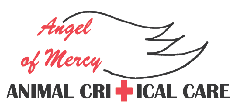 Emergency Vet Clinic San Antonio, TX Angel Of Mercy Animal Critical