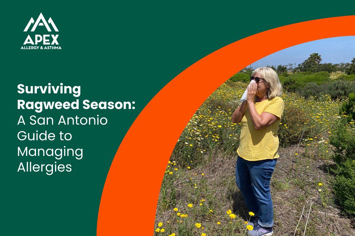 Surviving Ragweed Season A San Antonio Guide to Managing Allergies