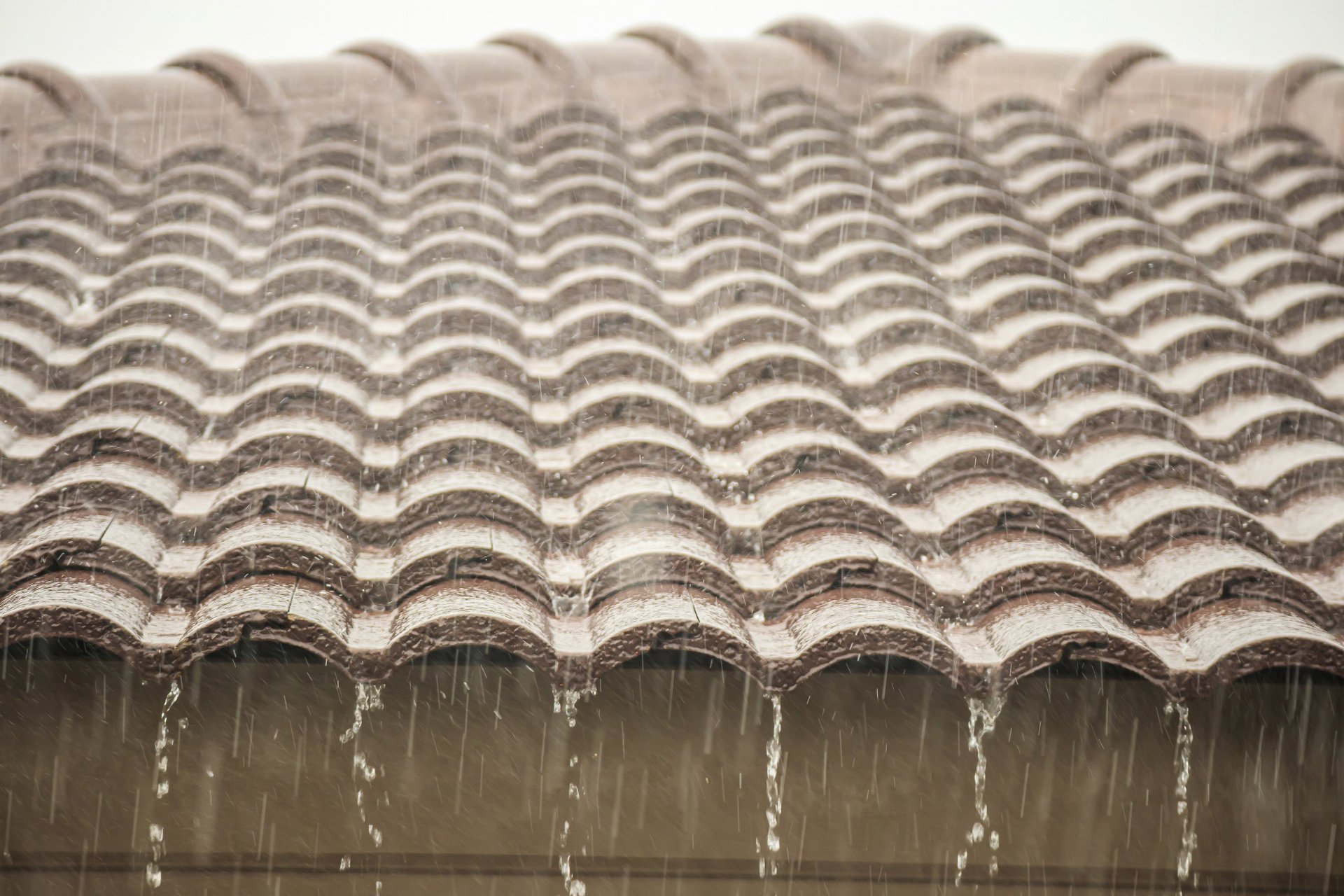 Type of Roofing Best for Wet Climates Total Roof Solutions