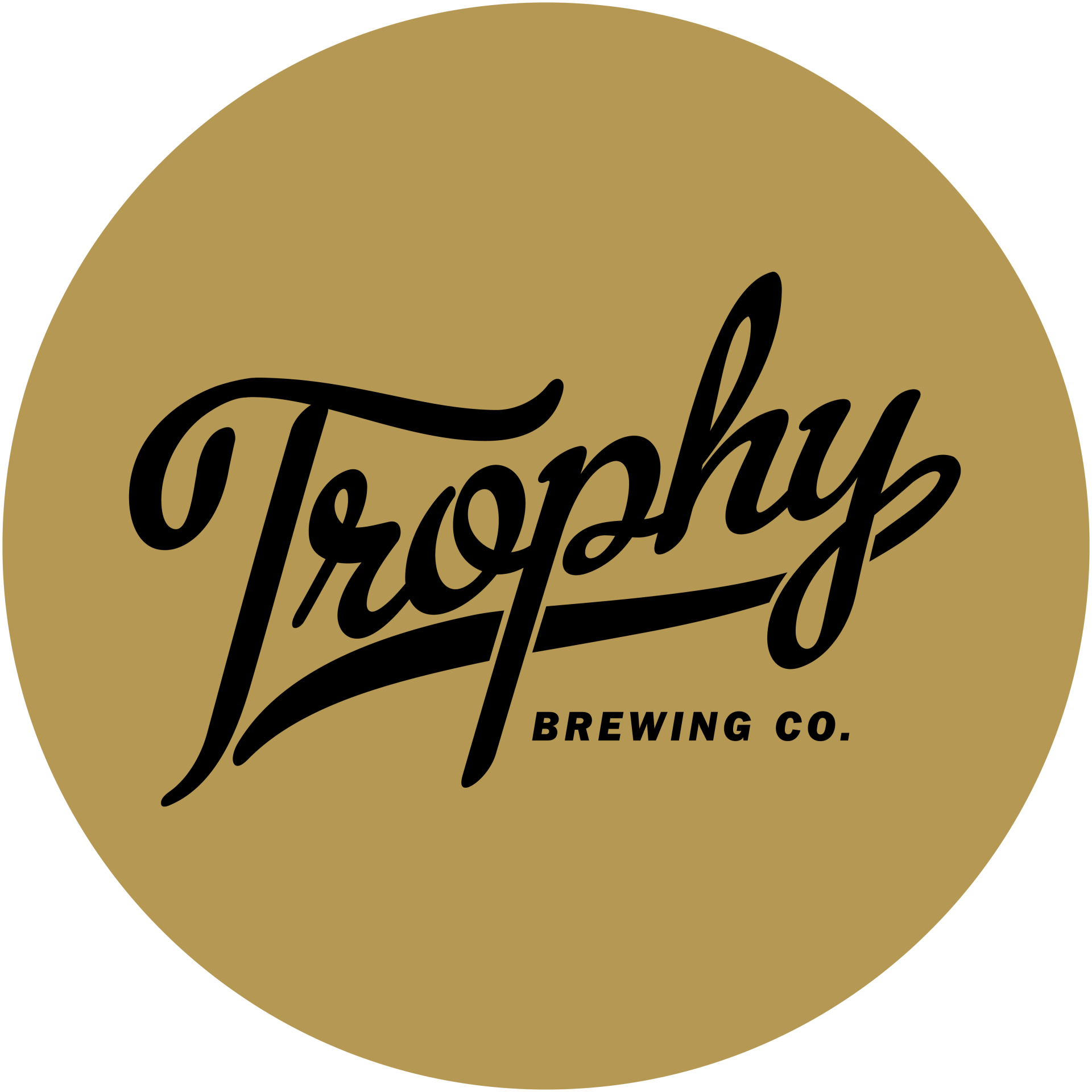 Downtown Raleigh Brewery & Craft Beer Trophy Brewing