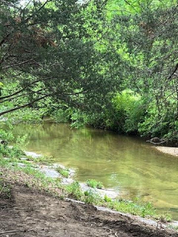 Four Oaks Cabin Rental in Buffalo River AR Nature's Loft