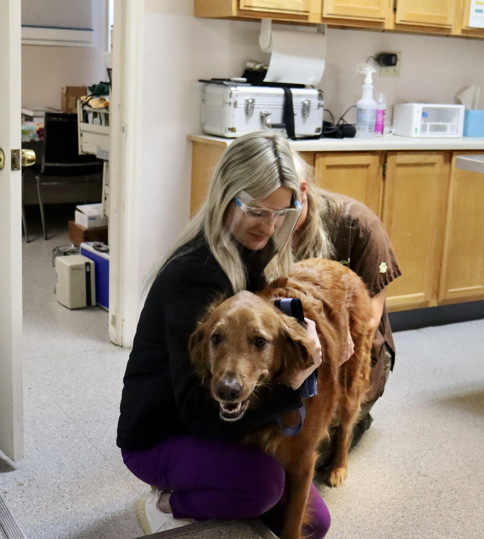 Veterinarian Lexington, KY North Lexington Veterinary