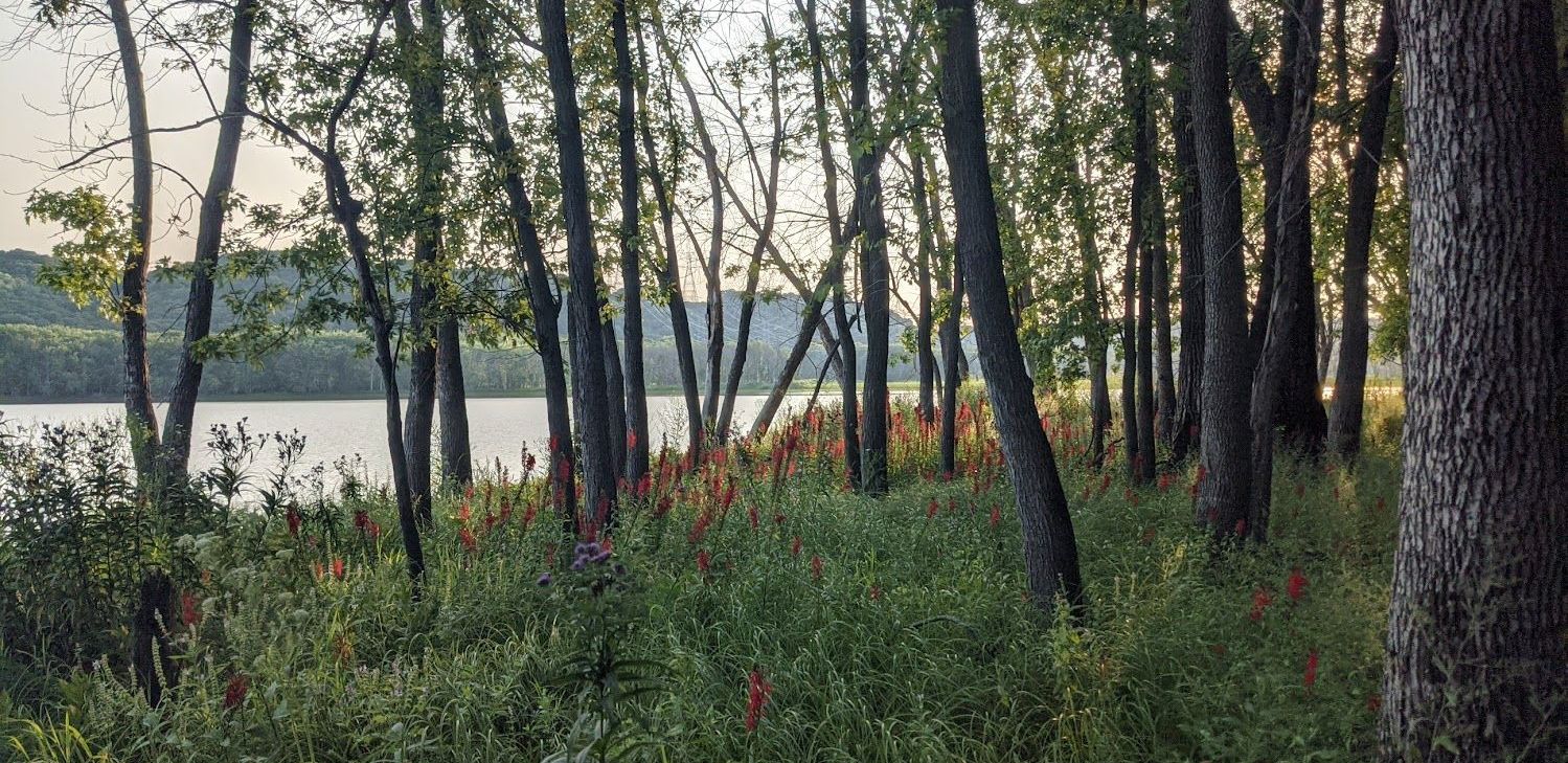 Larson's Landing About Us