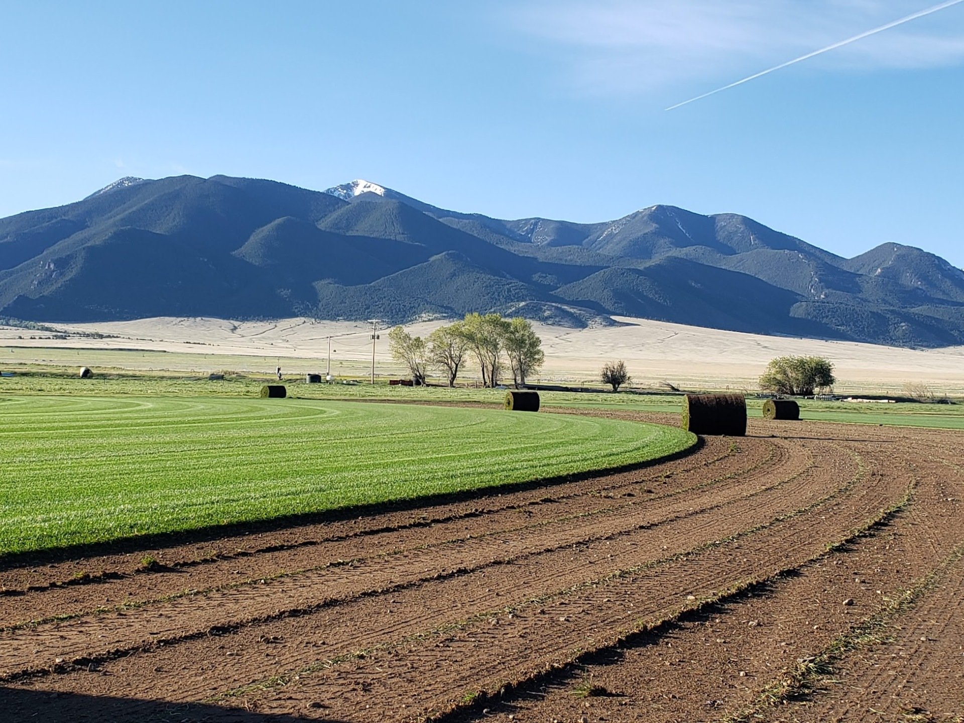 Sod Farm and Sod Installation Sod for Sale in Whitehall, MT