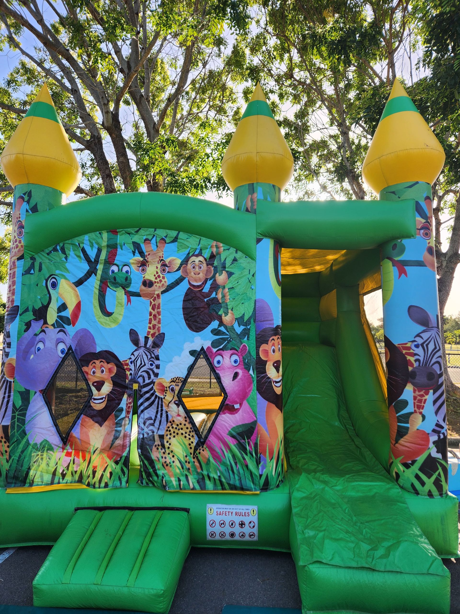 Rides N Slides Jumping Castles in Townsville