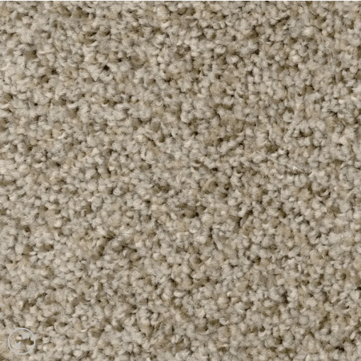 Carpets Syracuse, NY National Carpet and Flooring