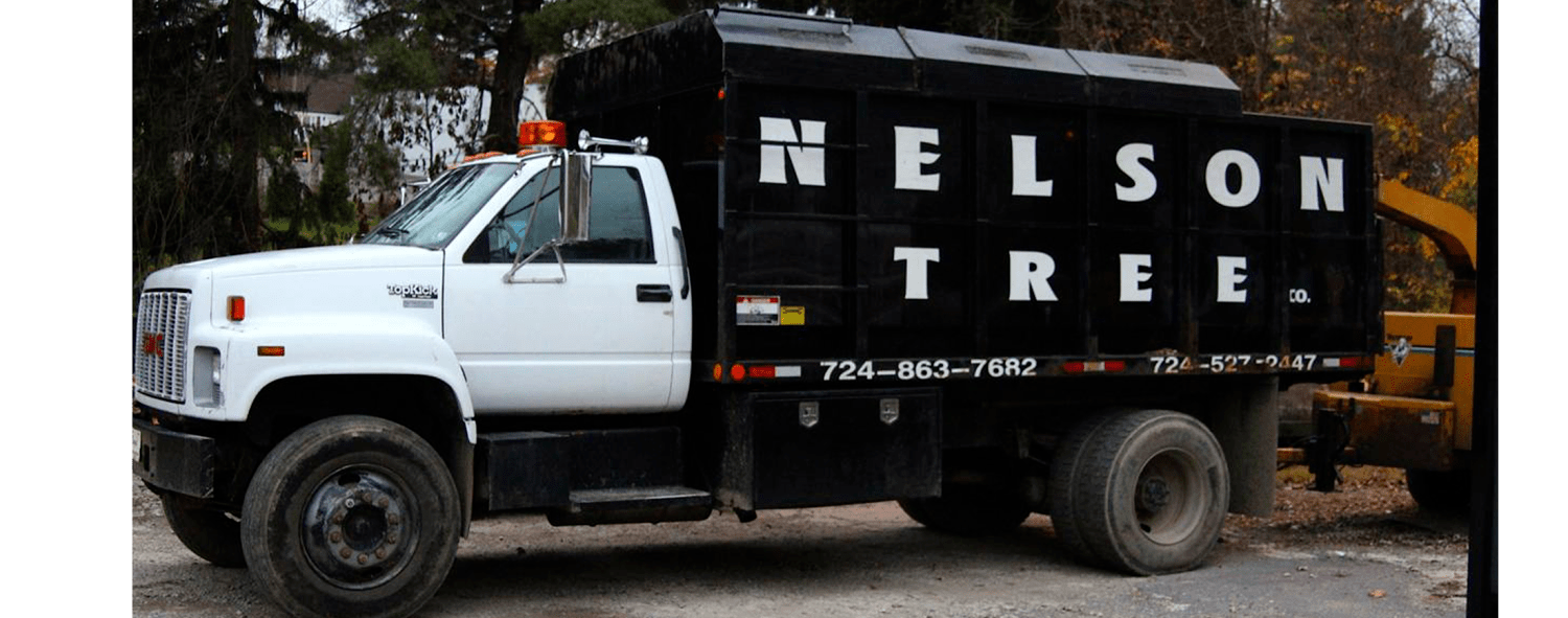 Past Tree Jobs Westmoreland County, PA