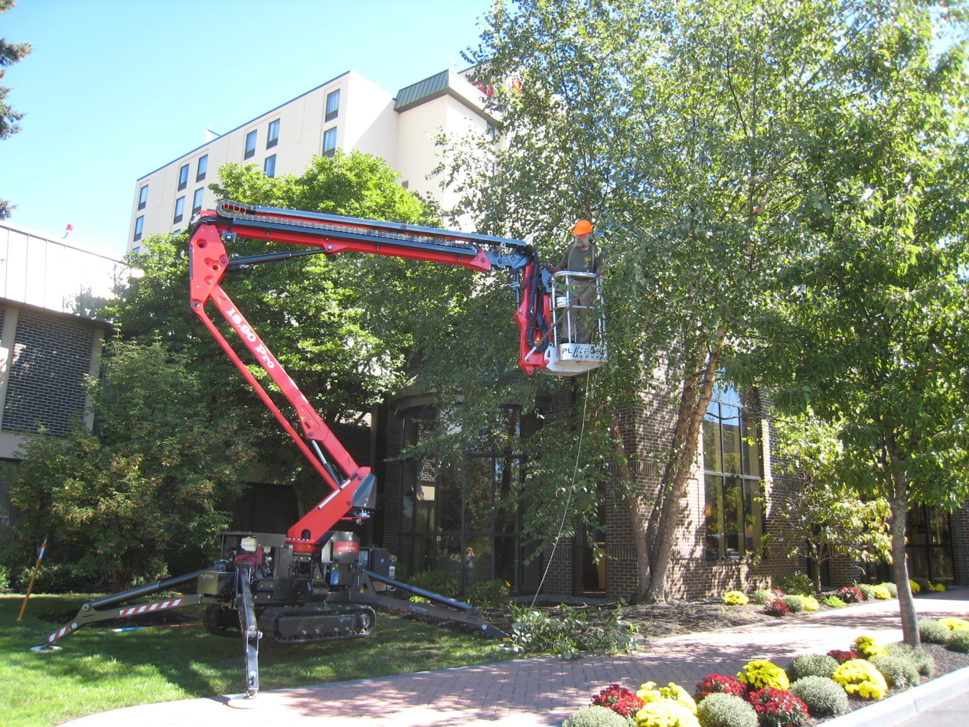 Landscape & Lawn Care Danvers, MA Carpenter Costin Tree