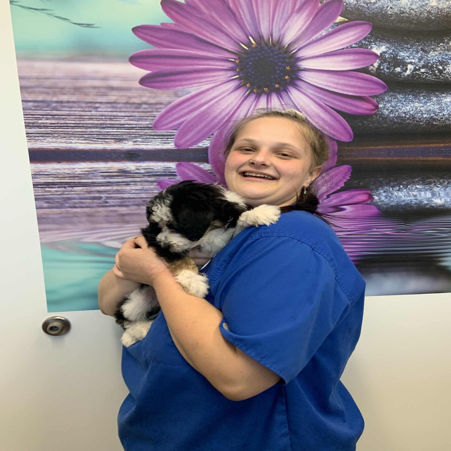 Our Team Aardvark Animal Hospital Garner NC