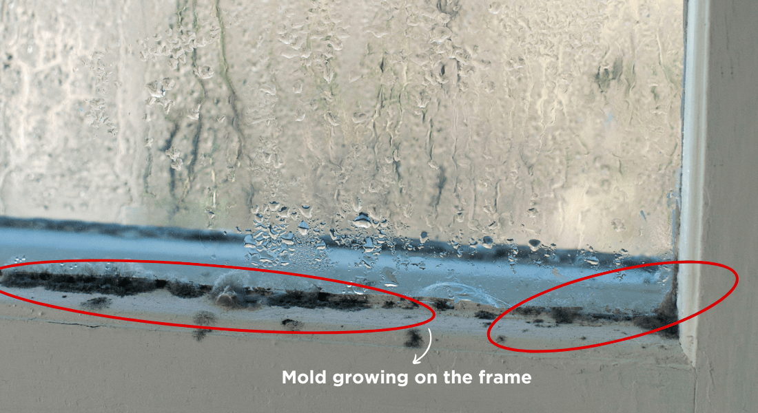 Guide to Troubleshoot and Fix Leaky Windows Allnite Glass, TN