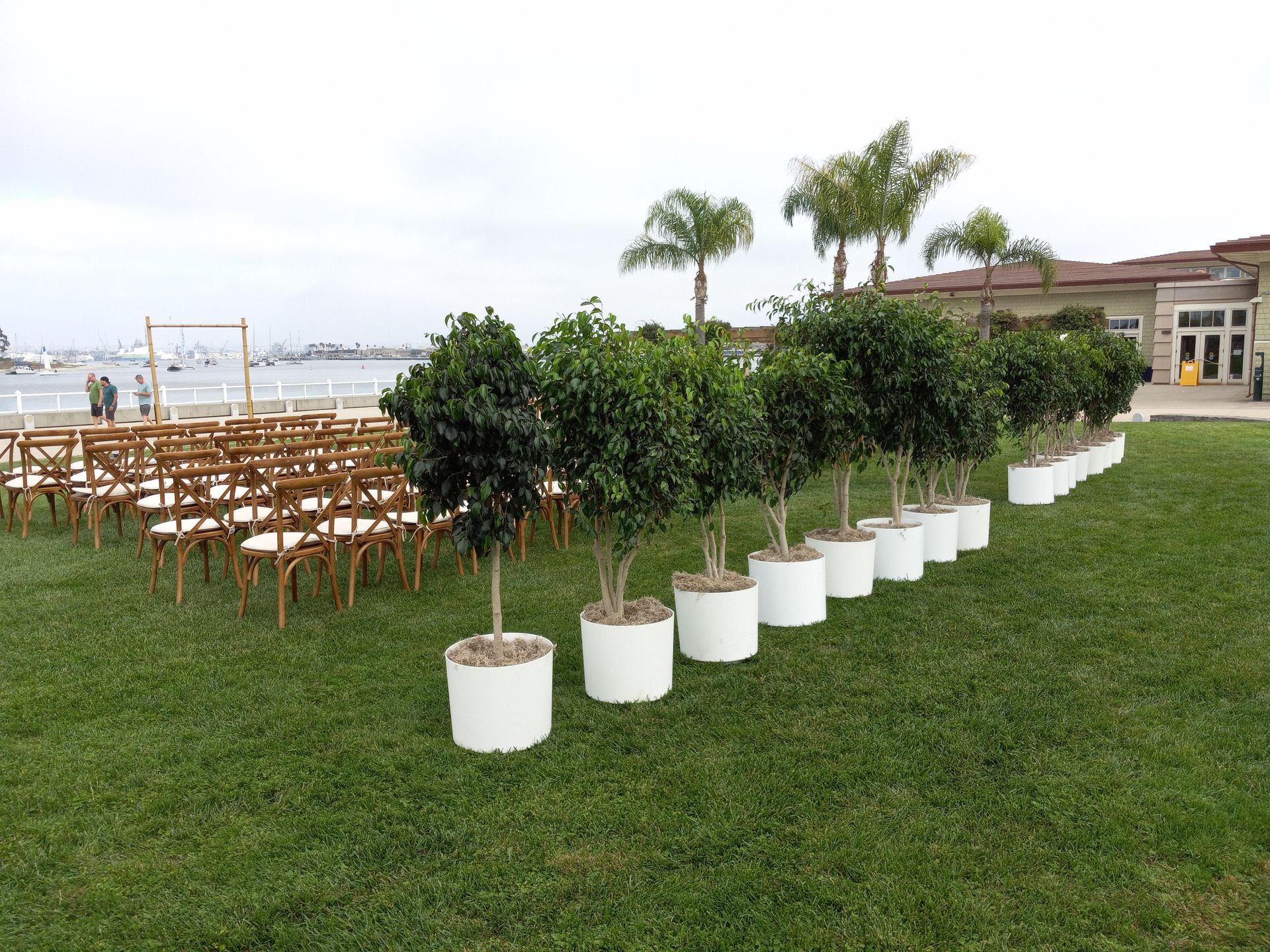 Potted Plant, Flower & Tree Rental For Weddings & Event in San Diego
