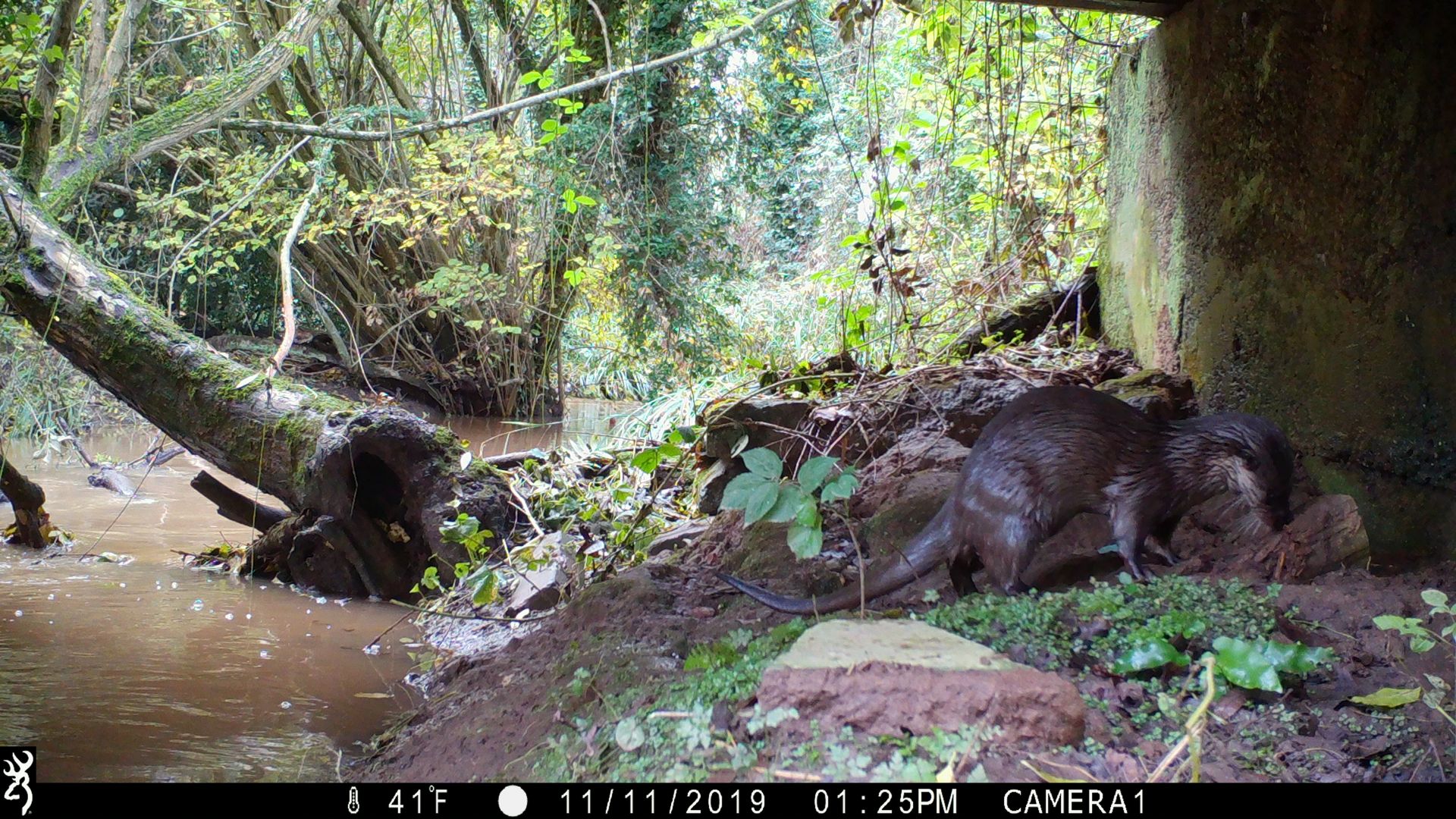 Wildgoose Rural Training & Nature Reserve Worcester